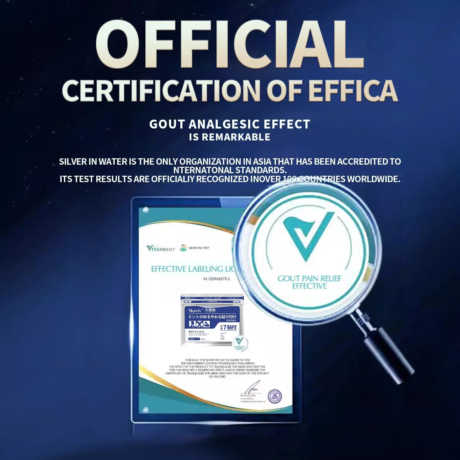 SKAVIX™ Back Pain Patch Natural Pain Relief Patches