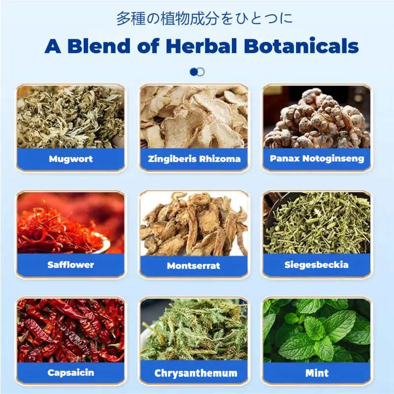 SKAVIX™ Back Pain Patch Natural Pain Relief Patches