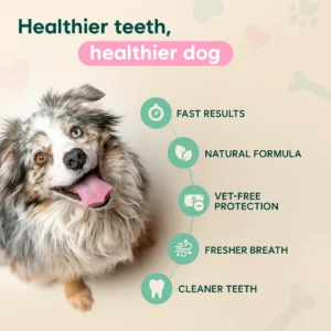 FOMONEST™ Dental Spray – Stop Bad Breath & Tartar at the Source