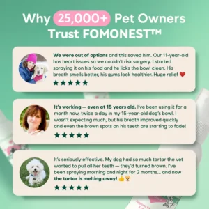 FOMONEST™ Dental Spray – Stop Bad Breath & Tartar at the Source