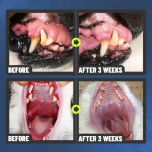 FOMONEST™ Dental Spray – Stop Bad Breath & Tartar at the Source