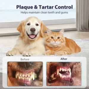 FOMONEST™ Dental Spray – Stop Bad Breath & Tartar at the Source