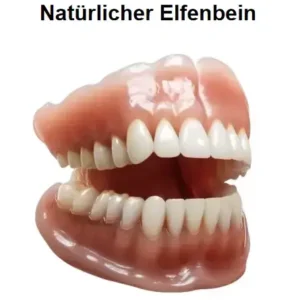 Smileasego™ – Premium-Zahnprothese